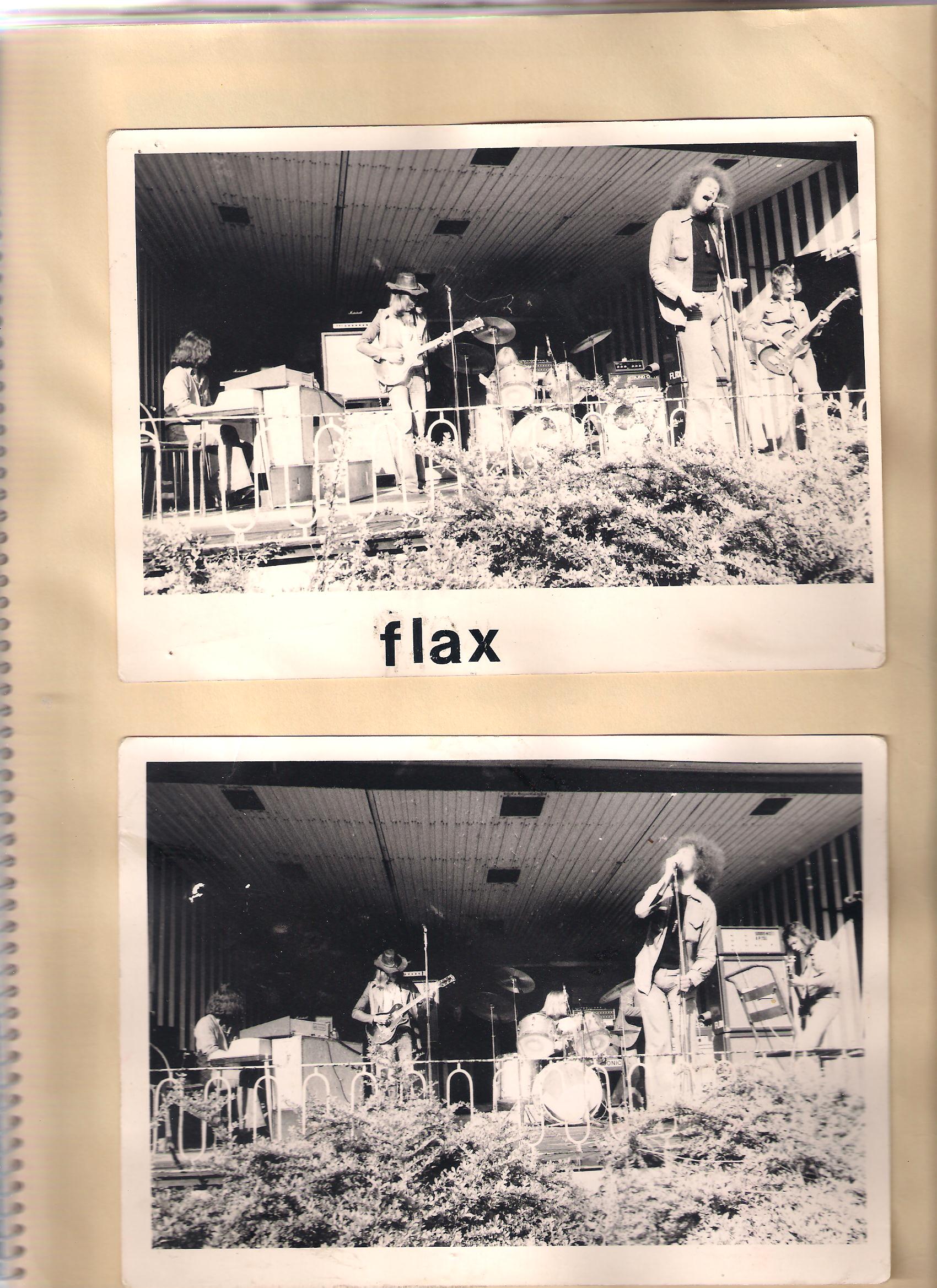 Flax_019